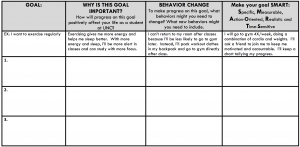 Image of the semester action plan document with a column for goals and then three more columns to develop the importance of the goals and how to achieve them.